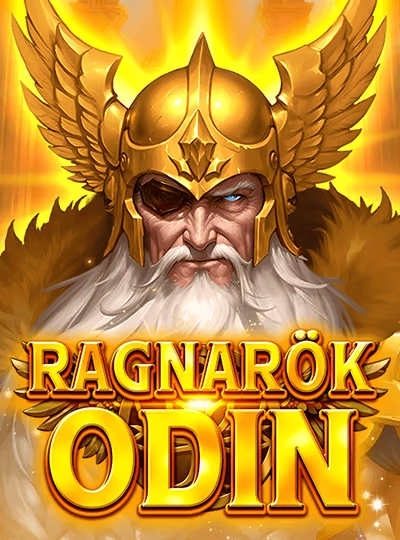 snwin